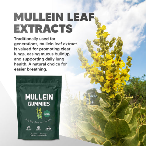 Lung Detox Gummies