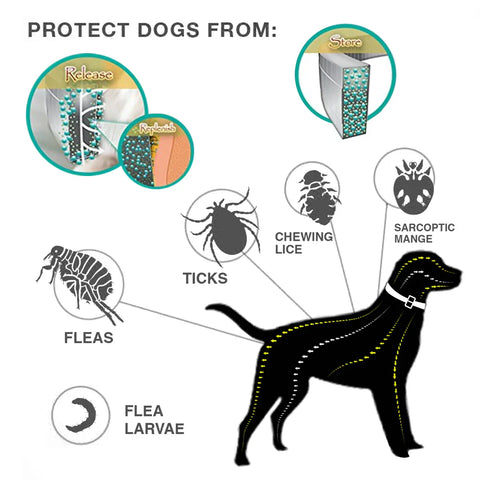 Natural Anti-Flea, Tick, & Mosquito Collar (Safest 8+ Months Protection)