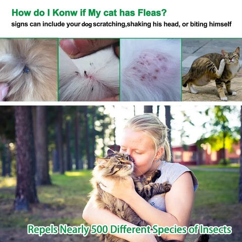 Natural Anti-Flea, Tick, & Mosquito Collar (Safest 8+ Months Protection)