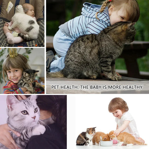 Natural Anti-Flea, Tick, & Mosquito Collar (Safest 8+ Months Protection)