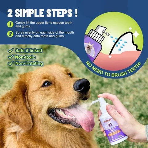 Teeth Cleaning Spray for Dogs & Cats（50ML）